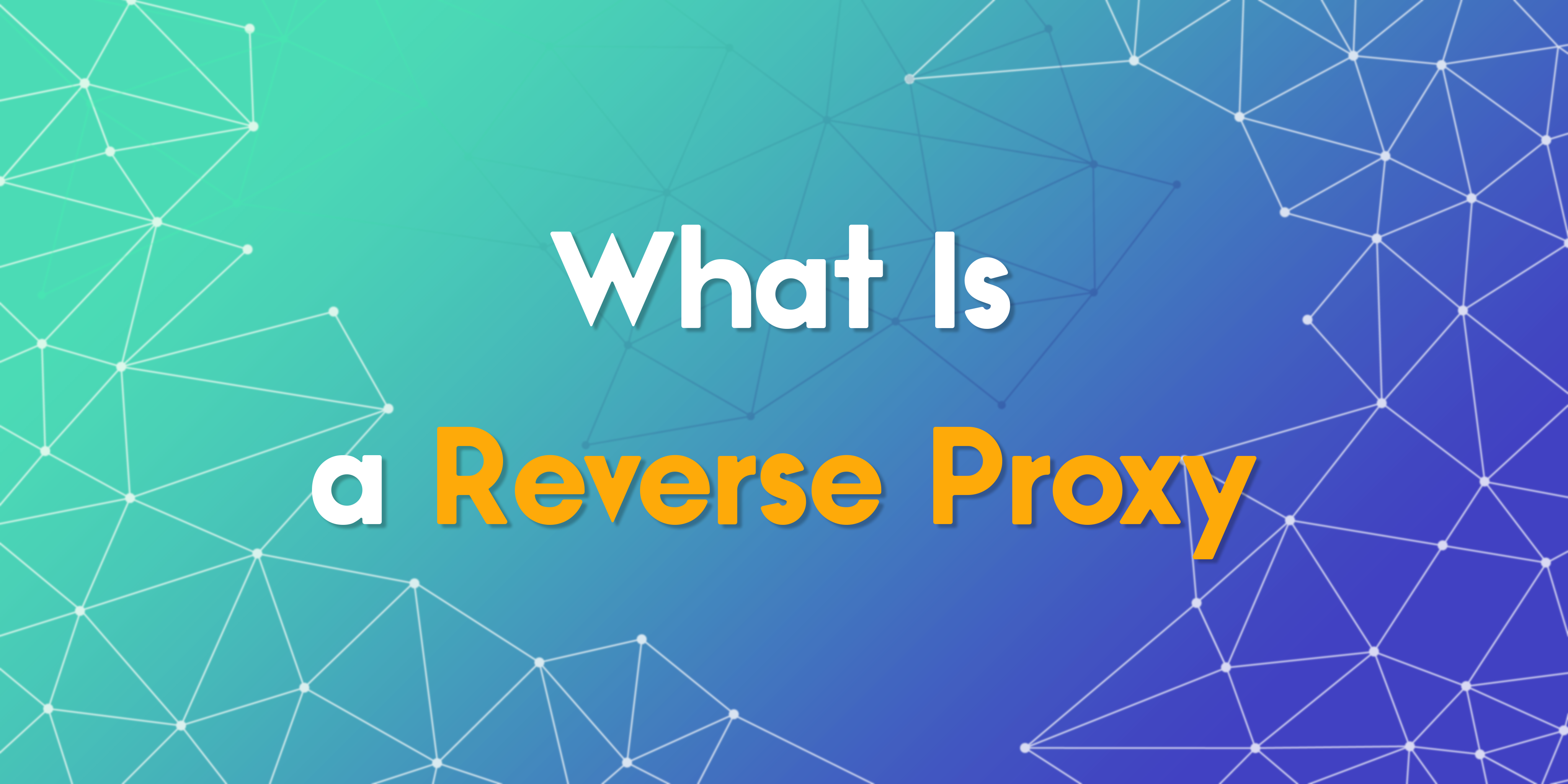 What Is a Reverse Proxy